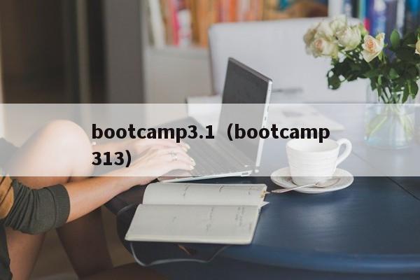 bootcamp3.1（bootcamp313）